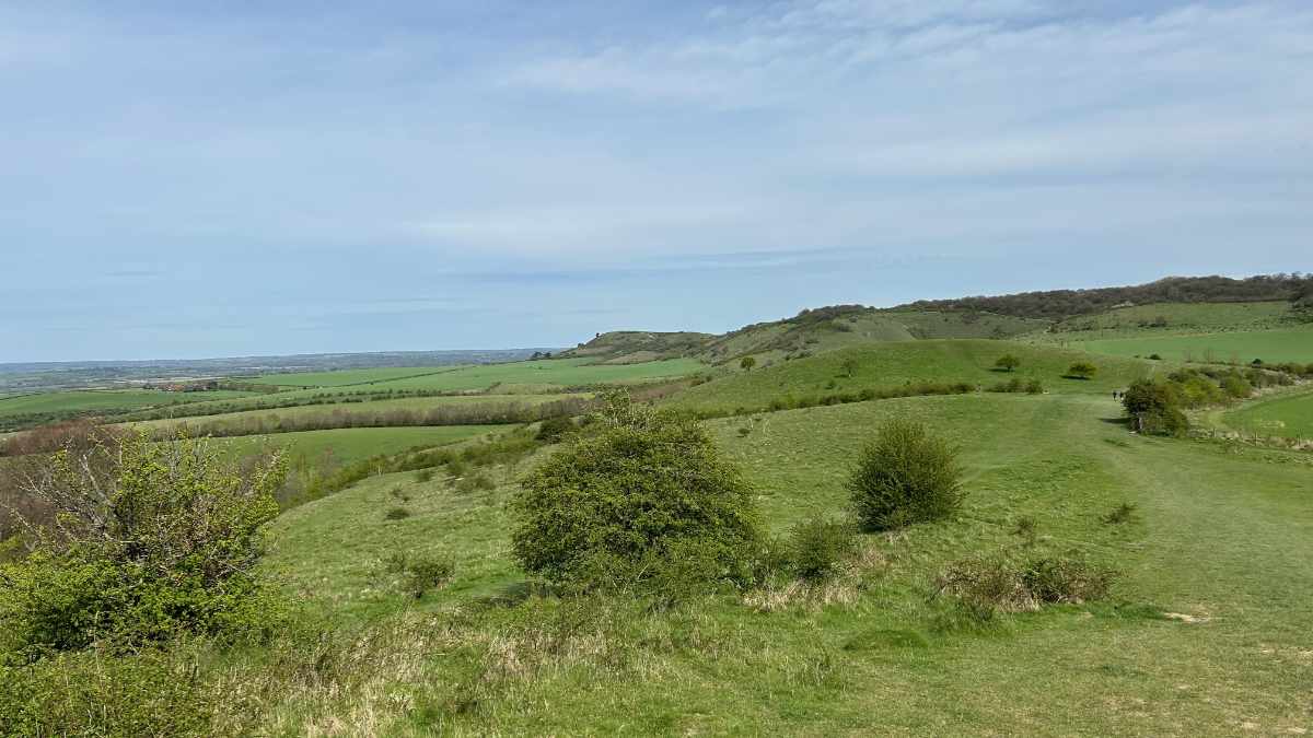 Ridgeway day 7 - Wendover woods to Ivinghoe Beacon - 9 miles