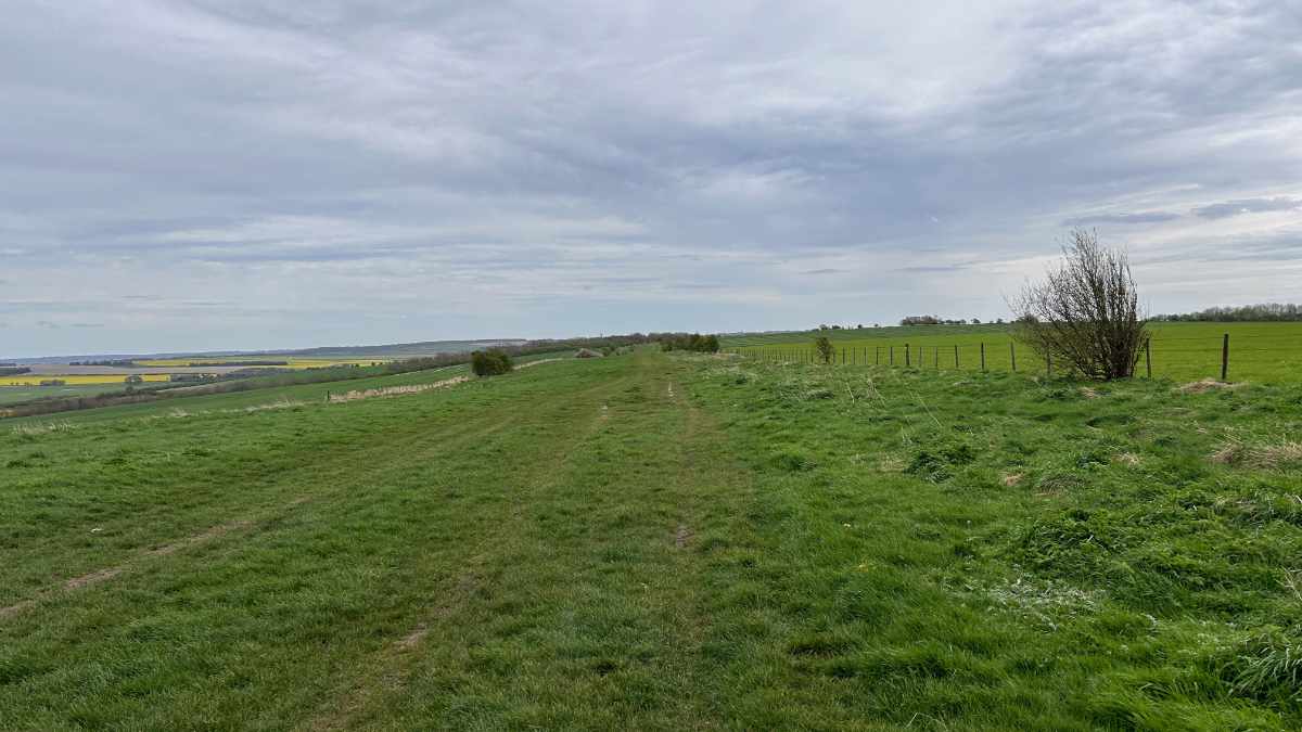 Ridgeway day 3 - Court Hill Centre, near Wantage to near Streatley - 12 miles